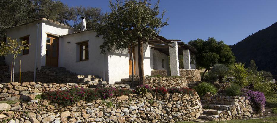 FincaLaLibelulaFinca